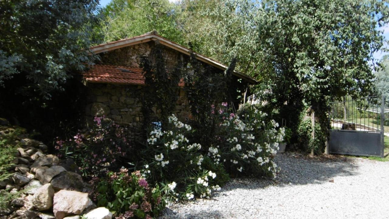 Lazy Days Bed & Breakfast Rancon Exterior photo